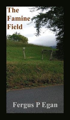 bokomslag Famine Field