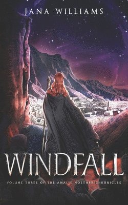 bokomslag Windfall