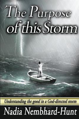 The Purpose of This Storm: Understanding the good in a God-directed storm 1