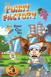 bokomslag The Punny Factory