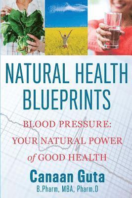 Natural Health Blueprints 1