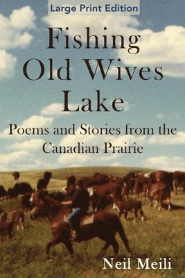 bokomslag Fishing Old Wives Lake: Poems and Stories from the Canadian Prairie