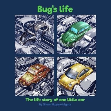 bokomslag Bug's Life: The life story of one little car