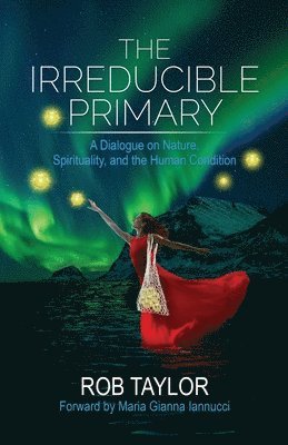 bokomslag Irreducible Primary