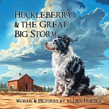 bokomslag Huckleberry and the Great Big Storm