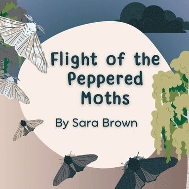 bokomslag Flight of the Peppered Moths