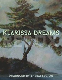 bokomslag Klarissa Dreams Redux