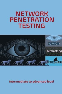 bokomslag Network Penetration Testing