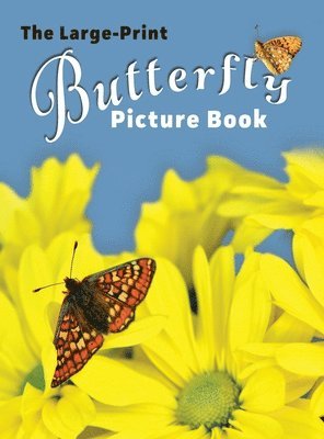 bokomslag The Large-Print Butterfly Picture Book