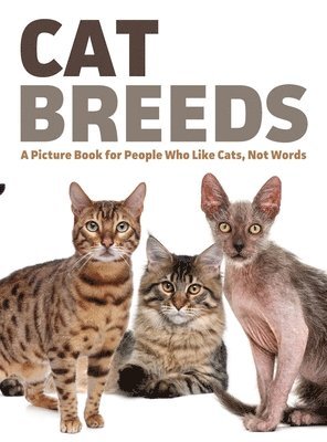 bokomslag Cat Breeds