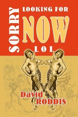 David Roddis - Sorry Looking for Now LOL, Häftad