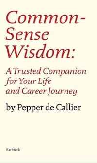 bokomslag Common Sense Wisdom