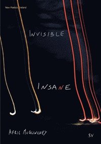 bokomslag Invisible Insane