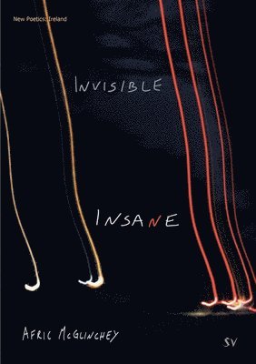 bokomslag Invisible Insane