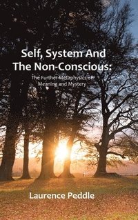 bokomslag Self, System and the Non-Conscious