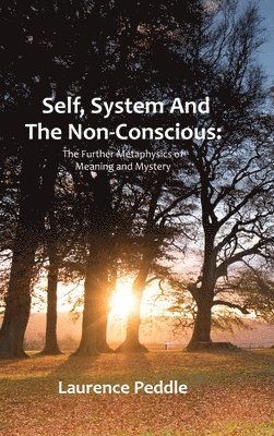 Self, System and the Non-Conscious