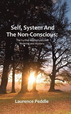 Self, System and the Non-Conscious 1