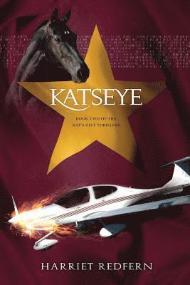 Harriet Redfern - Katseye: Book Two of the Kat's Gift Thrillers, Häftad