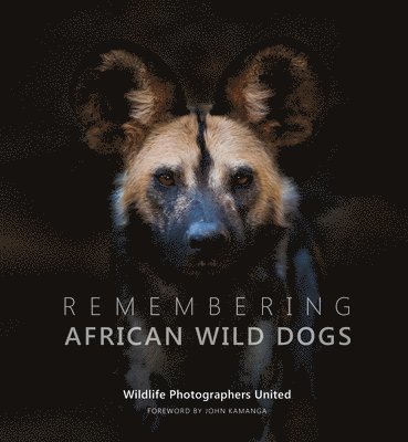 Remembering African Wild Dogs 1
