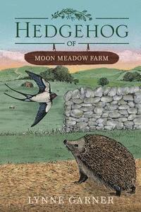 bokomslag Hedgehog of Moon Meadow Farm