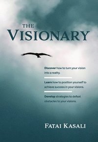 bokomslag The Visionary