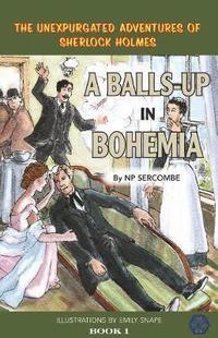 bokomslag A Balls-up in Bohemia