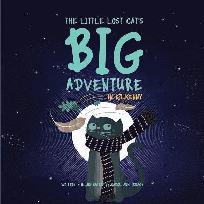 Carol Ann Treacy, Suzanne Power - The Little Lost Cat's Big Adventure in Kilkenny, Häftad
