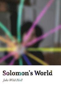 bokomslag Solomon's World