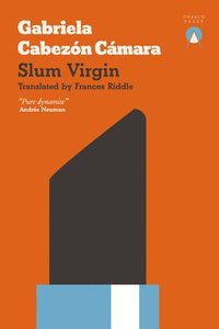 bokomslag Slum Virgin