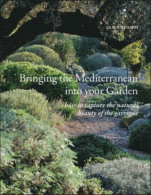 bokomslag Bringing the Mediterranean into your Garden
