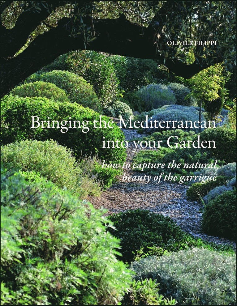 Bringing the Mediterranean into your Garden