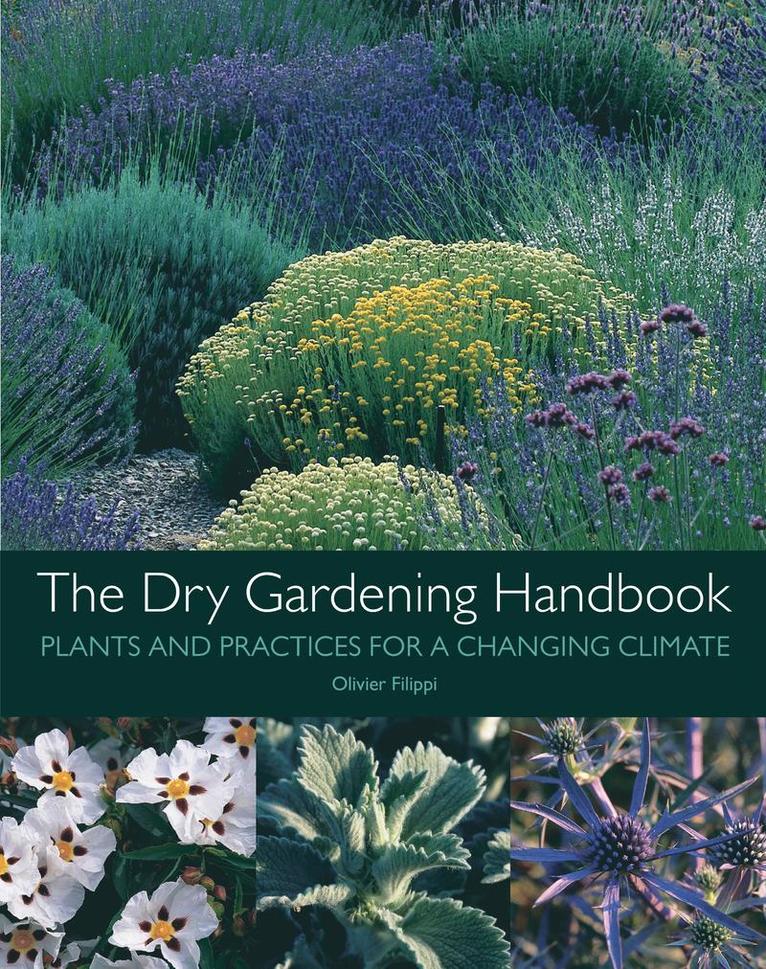 Olivier Filippi - Dry Gardening Handbook, Inbunden