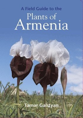 bokomslag Field Guide to the Plants of Armenia