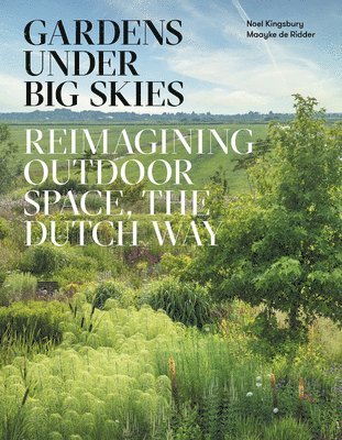 bokomslag Gardens Under Big Skies