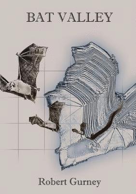Robert Gurney - Bat Valley, Häftad