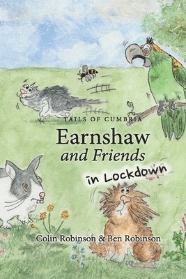 Colin Robinson - Earnshaw and Friends in Lockdown, Häftad