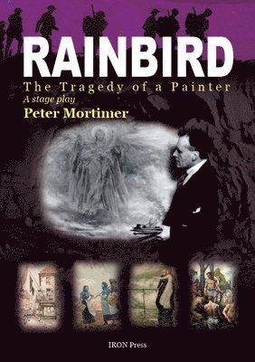 bokomslag Rainbird