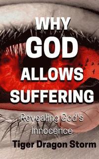 bokomslag Why God Allows Suffering: Revealing God's Innocence