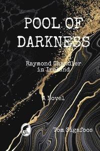 bokomslag Pool of Darkness