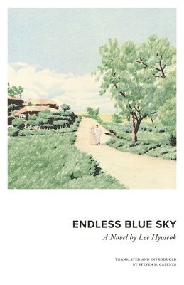 bokomslag Endless Blue Sky