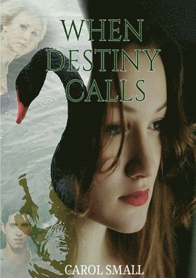 Carol Small - When Destiny Calls, Häftad