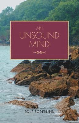 bokomslag Unsound Mind