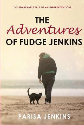 bokomslag The Adventures of Fudge Jenkins