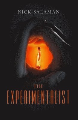 bokomslag Experimentalist