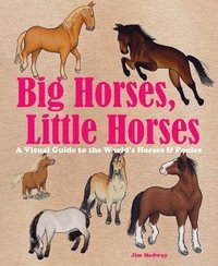 bokomslag Big Horses, Little Horses
