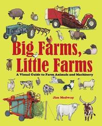 bokomslag Big Farms, Little Farms