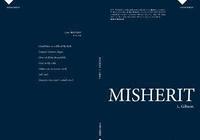 bokomslag Misherit