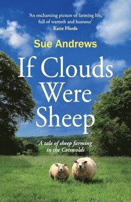 If Clouds Were Sheep 1