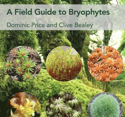 Field Guide to Bryophytes