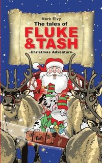 bokomslag The Tales of Fluke and Tash - Christmas Adventure